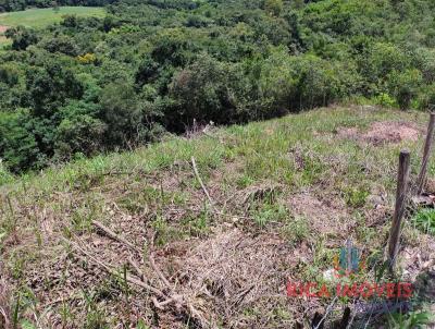 Chcara para Venda, em Bonfim, bairro guas Claras